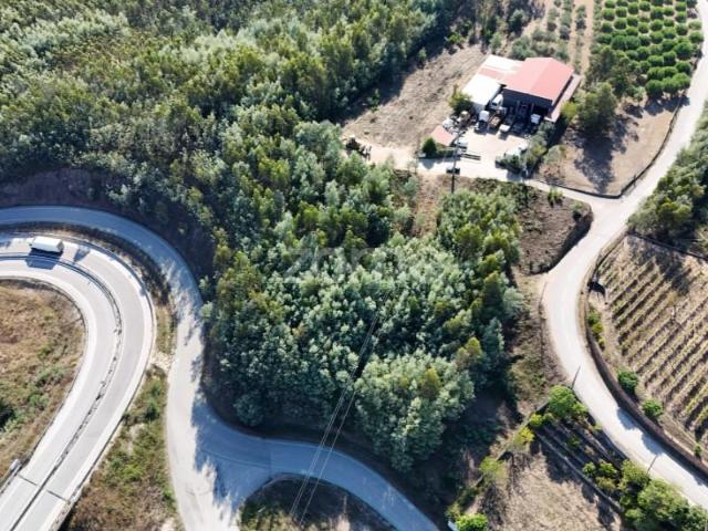 Terreno venda em Penacova, Coimbra
