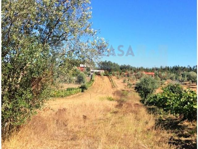 Terreno venda em Penacova, Coimbra
