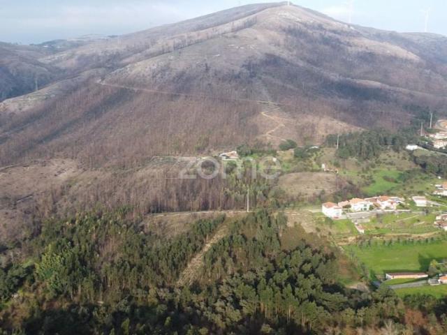 Terreno venda em Marecos, Porto