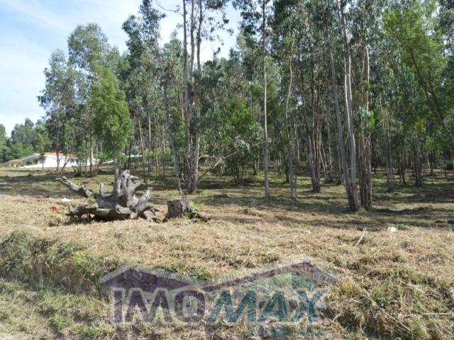 Terreno venda em Anho Bom, Marecos