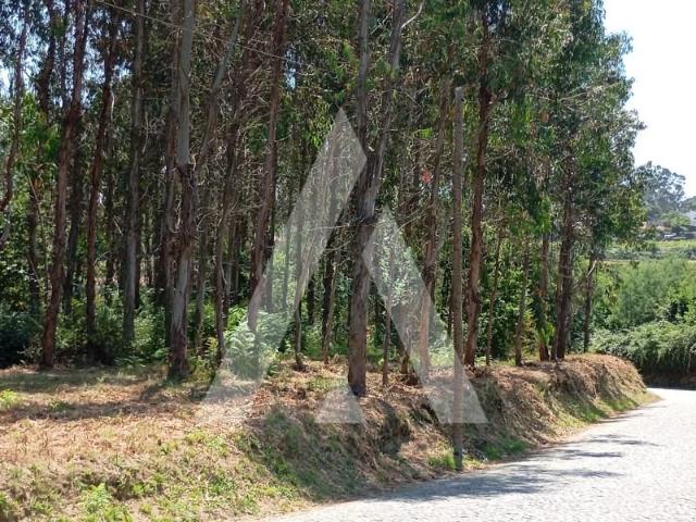 Terreno venda em Guilhufe e Urrô, Marecos