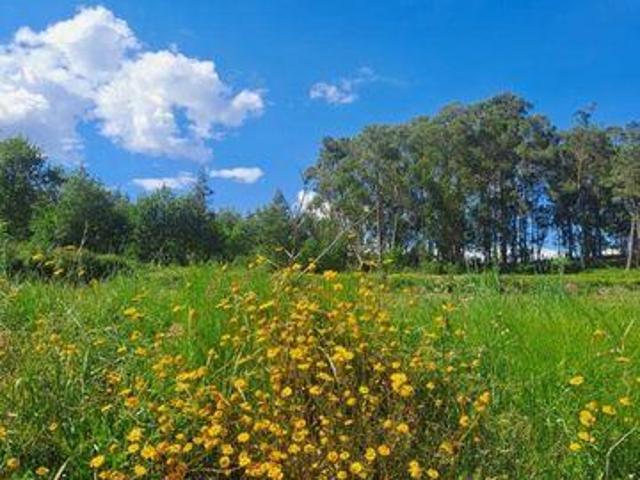 Terreno venda em Cerrado, Marecos