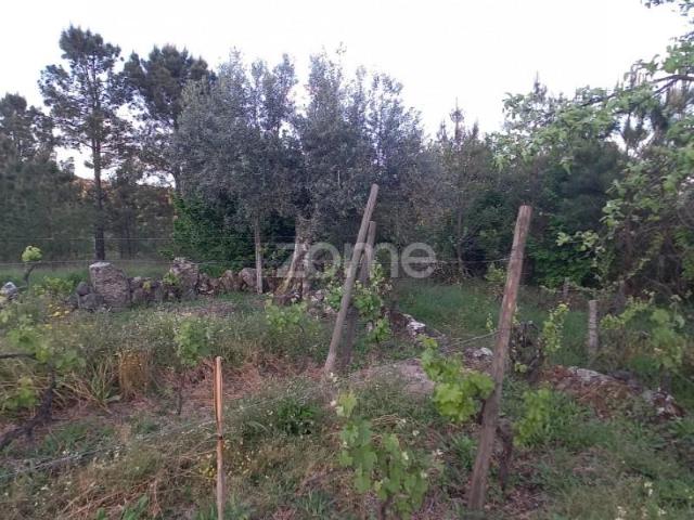 Terreno venda em Penalva Do Castelo, Viseu