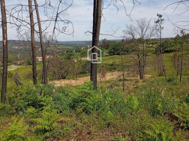 Terreno venda em Penalva Do Castelo, Viseu