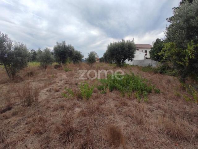 Terreno venda em Penalva Do Castelo, Viseu