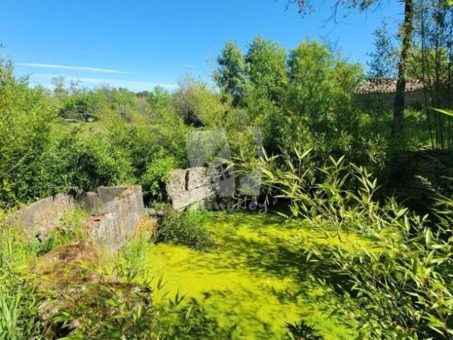 Terreno venda em Castelo Branco, Penamacor