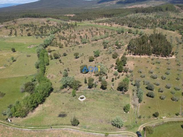 Terreno venda em Castelo Branco, Penamacor