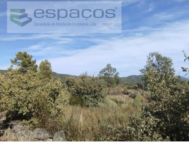 Terreno venda em Castelo Branco, Penamacor