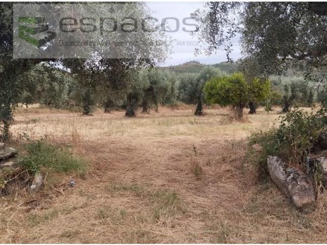 Terreno venda em Castelo Branco, Penamacor