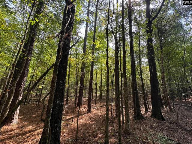 Land for sale in Johnston, South Carolina