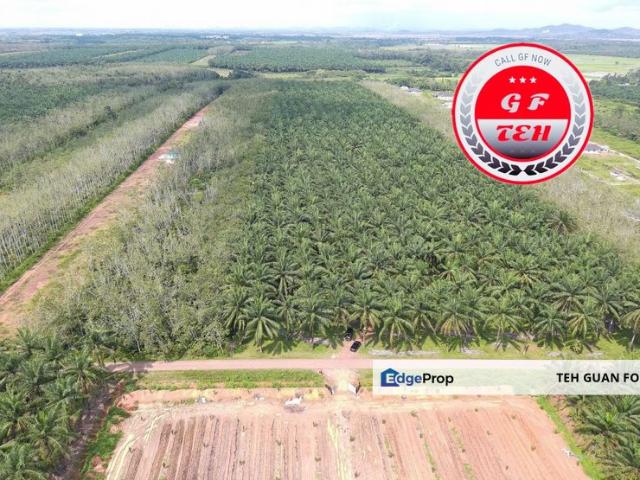 Shop for sale in Kedah
