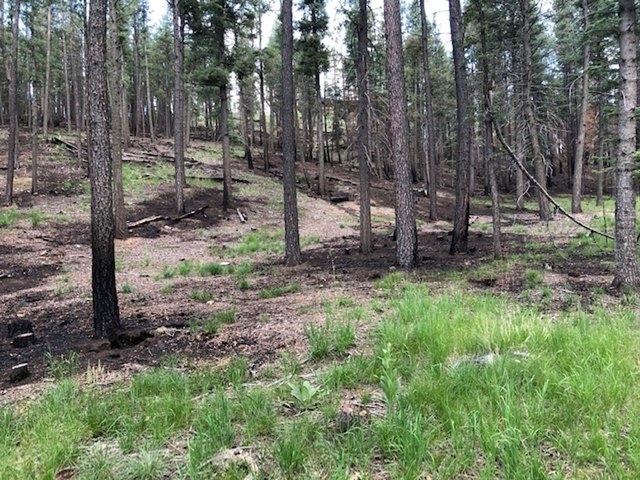 Land for sale in Rociada, San Miguel County