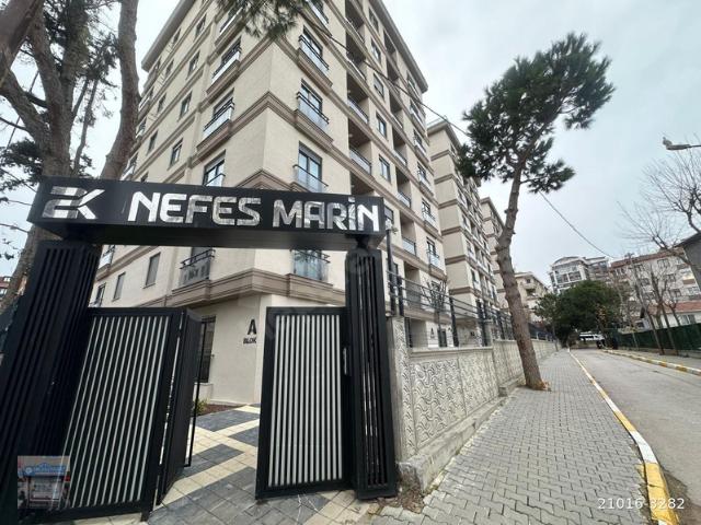 Doğu Mahallesi, Pendik içerisinde satılık mülk