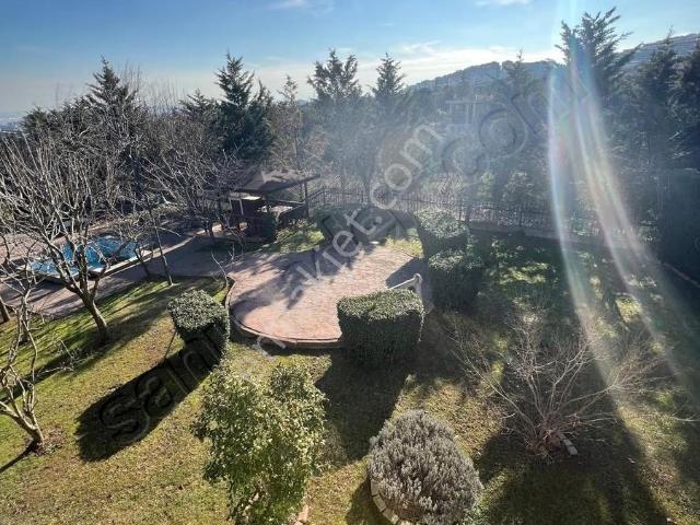 Pendik, İstanbul içerisinde kiralık Villa