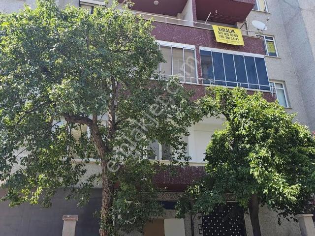 Pendik, İstanbul içerisinde kiralık mülk