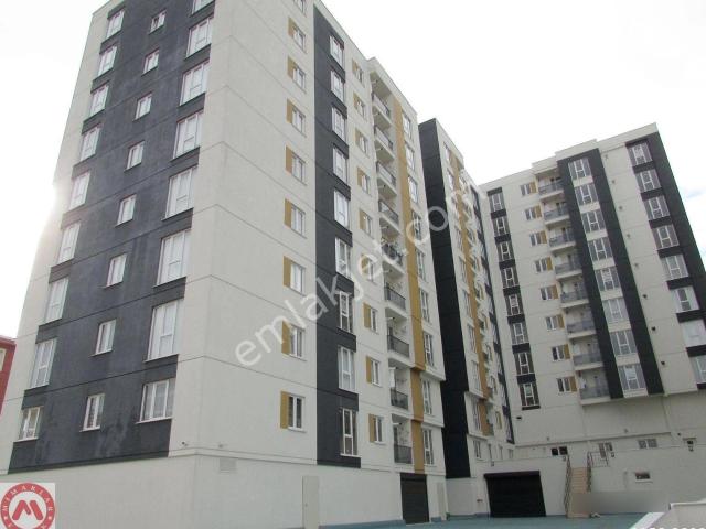 Pendik, İstanbul içerisinde kiralık mülk