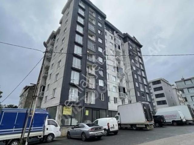 Güllü Bağlar Mahallesi, Pendik içerisinde kiralık mülk