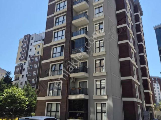 Pendik, İstanbul içerisinde kiralık mülk