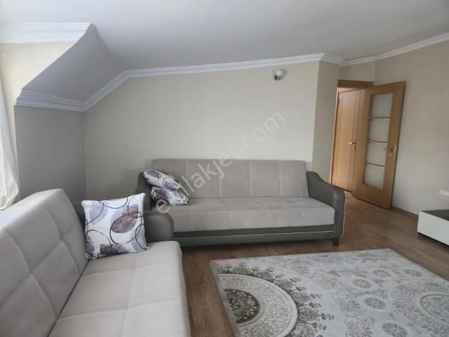 Orhangazi Mahallesi, Pendik içerisinde kiralık mülk