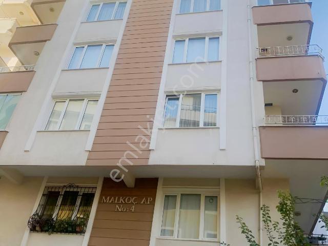 Doğu Mahallesi, Pendik içerisinde kiralık mülk