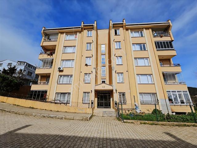 Pendik, İstanbul içerisinde kiralık mülk