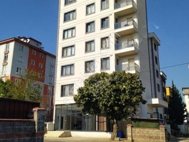 Yeni Mahallesi, Pendik içerisinde kiralık mülk