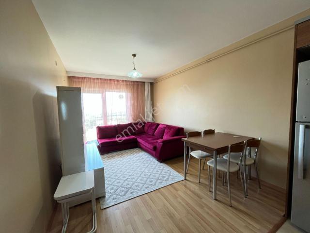 Pendik, İstanbul içerisinde kiralık mülk