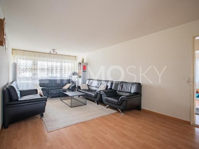 Wohnung kaufen in Rudolfstetten, Aargau