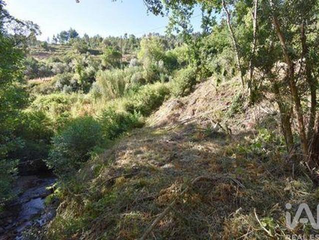 Terreno venda em Ribeira Velha, Figueiró Dos Vinhos