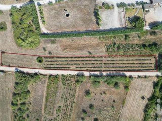Terreno venda em Penela, Coimbra
