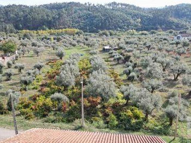 Terreno venda em Alfafar, Penela