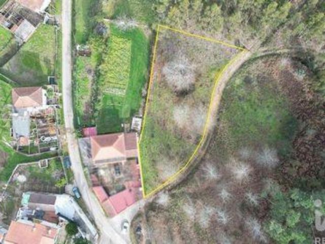 Terreno venda em Ribeira Velha, Figueiró Dos Vinhos