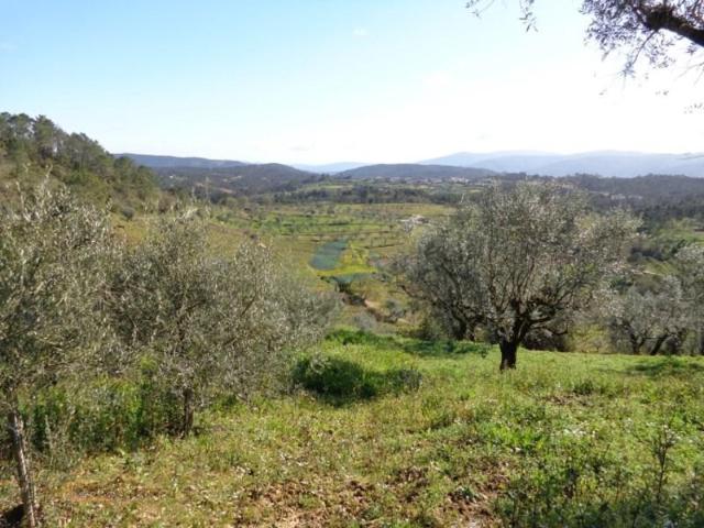 Terreno venda em Penela, Coimbra