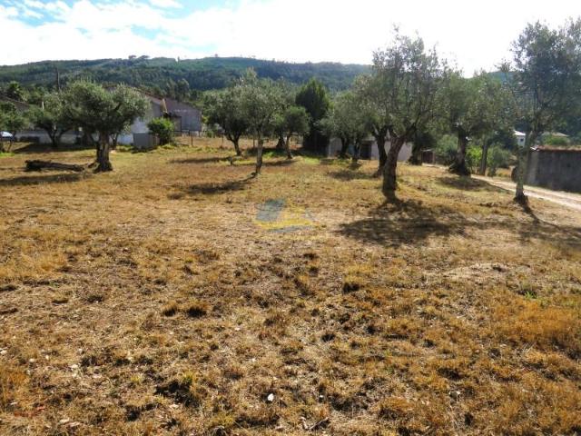 Terreno venda em Penela, Coimbra