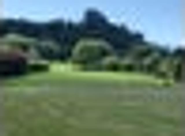 Land for sale in Bay Of Plenty