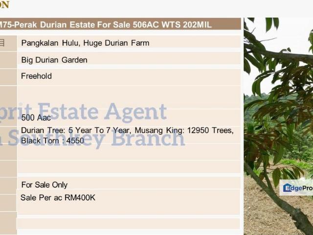 Shop for sale in Perak, Ulu Perak