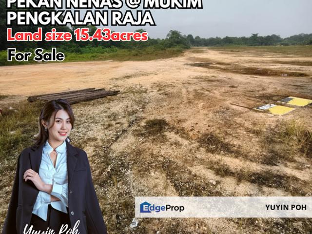 Shop for sale in Pekan Nanas, Johor