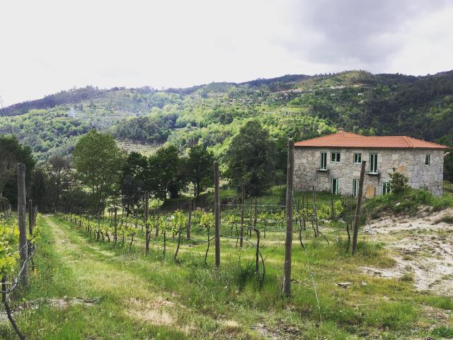 Casa alugar em Celorico De Basto, Braga