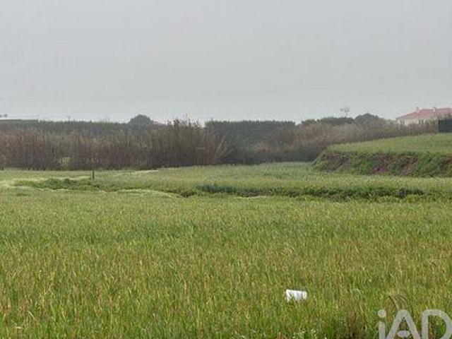 Terreno venda em Bufarda, Peniche