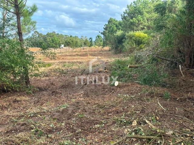 Terreno venda em Peniche, Leiria
