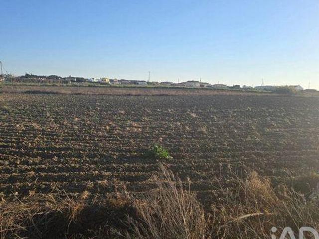 Terreno venda em Bufarda, Peniche