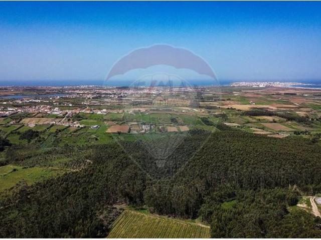 Terreno venda em Bufarda, Peniche