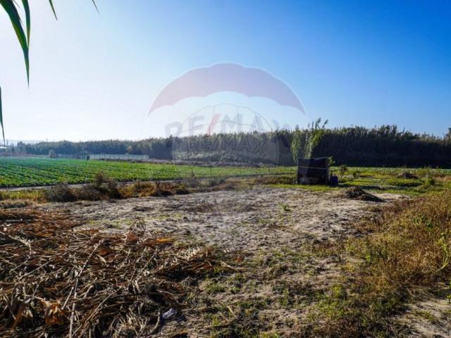Terreno venda em Peniche, Leiria
