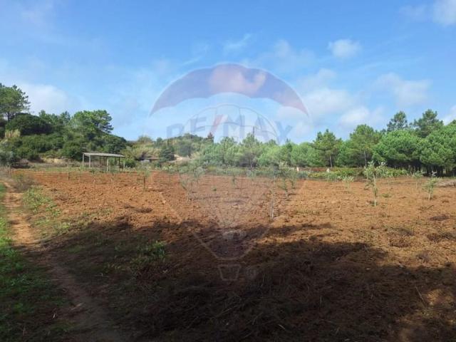 Terreno venda em Serra d'El-Rei, Peniche