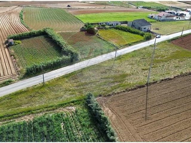 Terreno venda em Alto Foz, Peniche