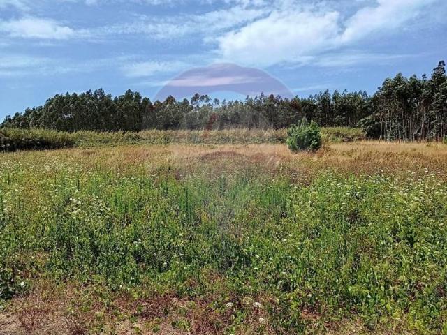 Terreno venda em Peniche, Leiria