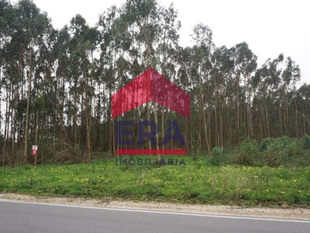 Terreno venda em Casais de Mestre Mendo, Peniche