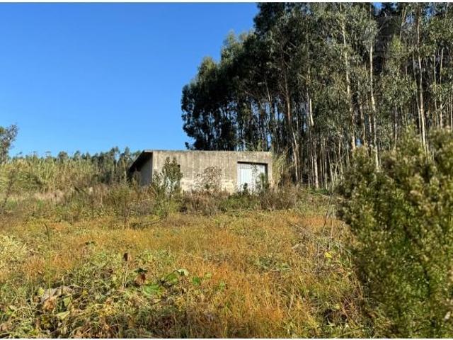 Terreno venda em Peniche, Leiria