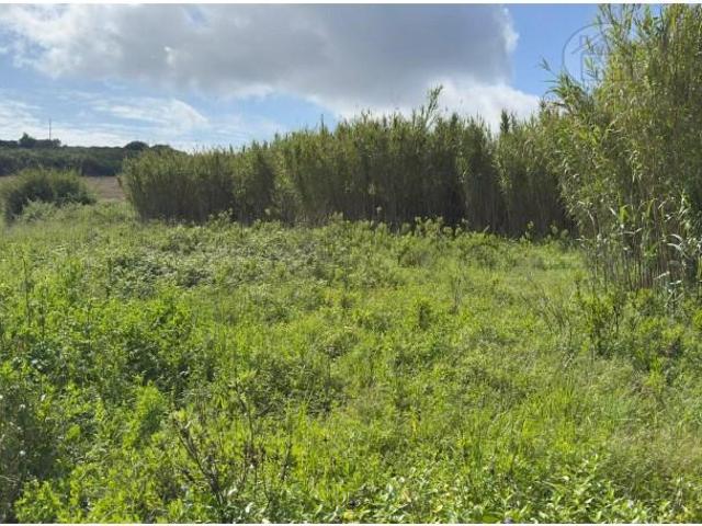 Terreno venda em Bufarda, Peniche