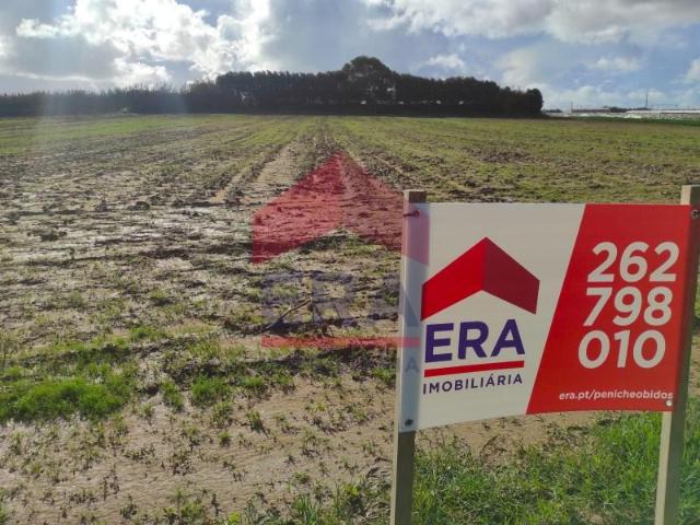 Terreno venda em Peniche, Leiria